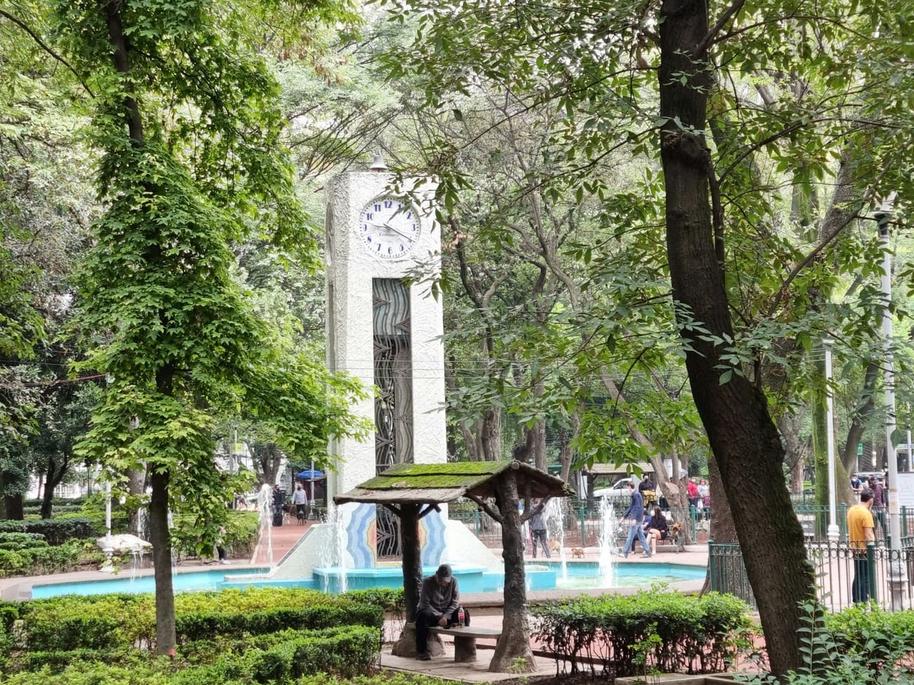 A fountain in a leafy park in Mexico City